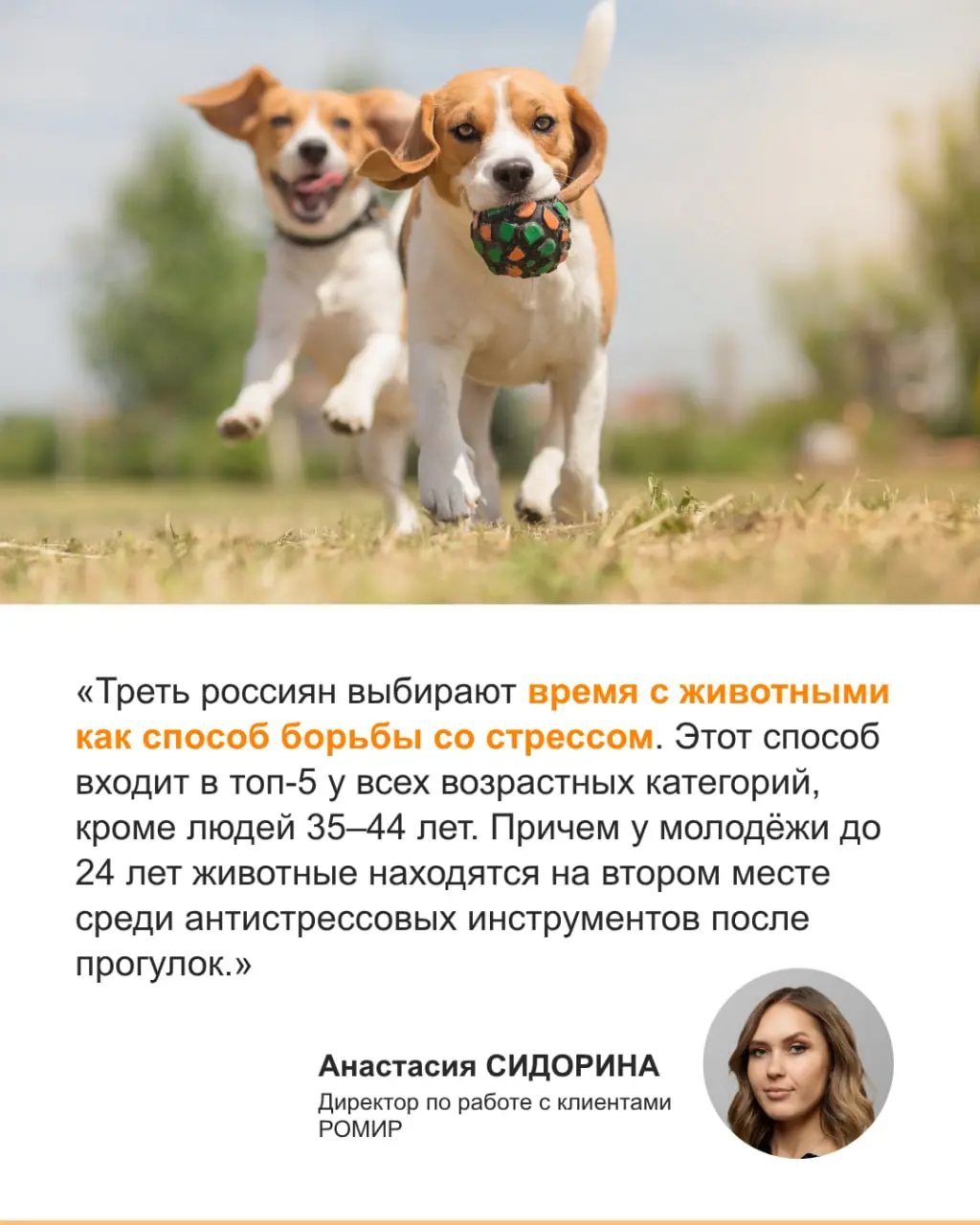 ⚡️ По данным РОМИР, в городских россий­ских семьях сегодня проживают более 61 млн питомцев — это на ~33 % больше, чем семь лет назад:
🔣 85% семей имеют хотя бы одну собаку или кошку
🔣 63% семей владею... | Сетка — социальная сеть от hh.ru