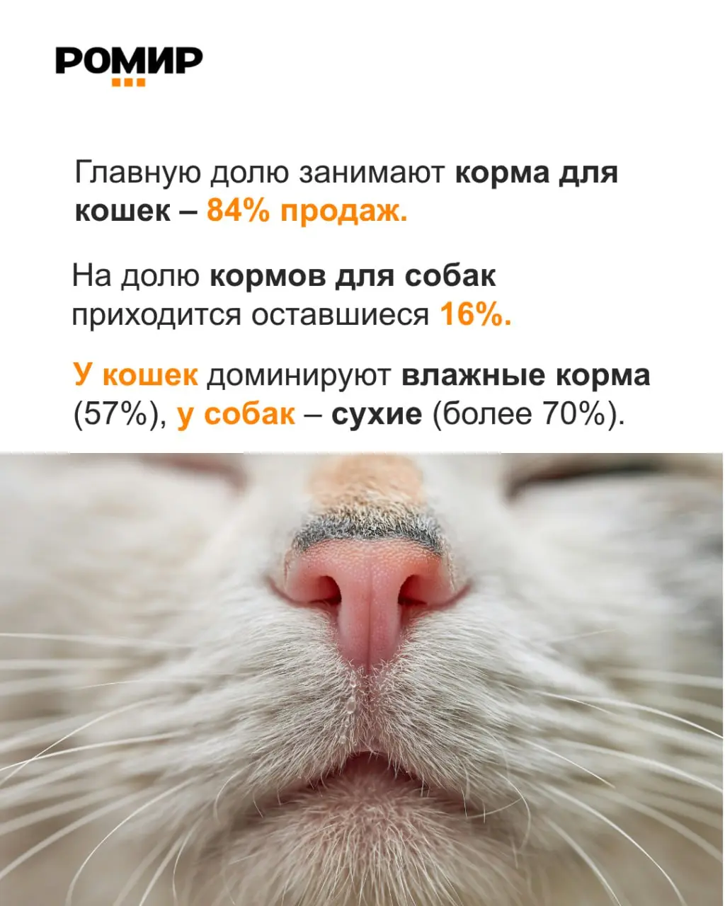 ⚡️ По данным РОМИР, в городских россий­ских семьях сегодня проживают более 61 млн питомцев — это на ~33 % больше, чем семь лет назад:
🔣 85% семей имеют хотя бы одну собаку или кошку
🔣 63% семей владею... | Сетка — социальная сеть от hh.ru