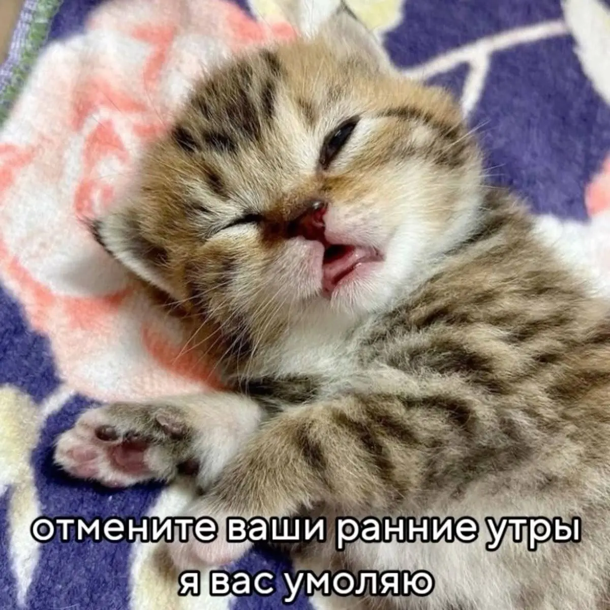 Доброе утро ’ 🤩 ~
И спасибо за ваш вопрос. Он действительно сложнее, чем кажется на первый взгляд | Сетка — социальная сеть от hh.ru