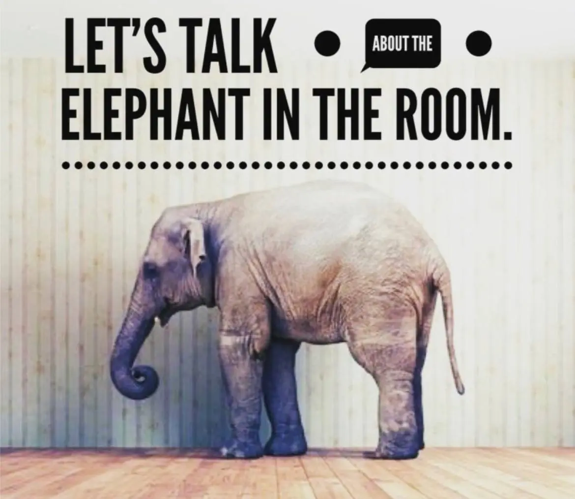 An elephant in the room | Сетка — социальная сеть от hh.ru