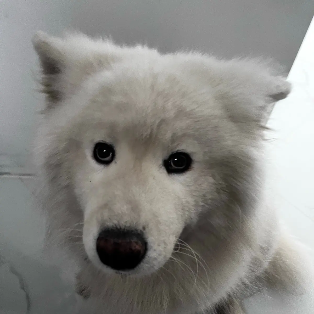 Андрей Костин