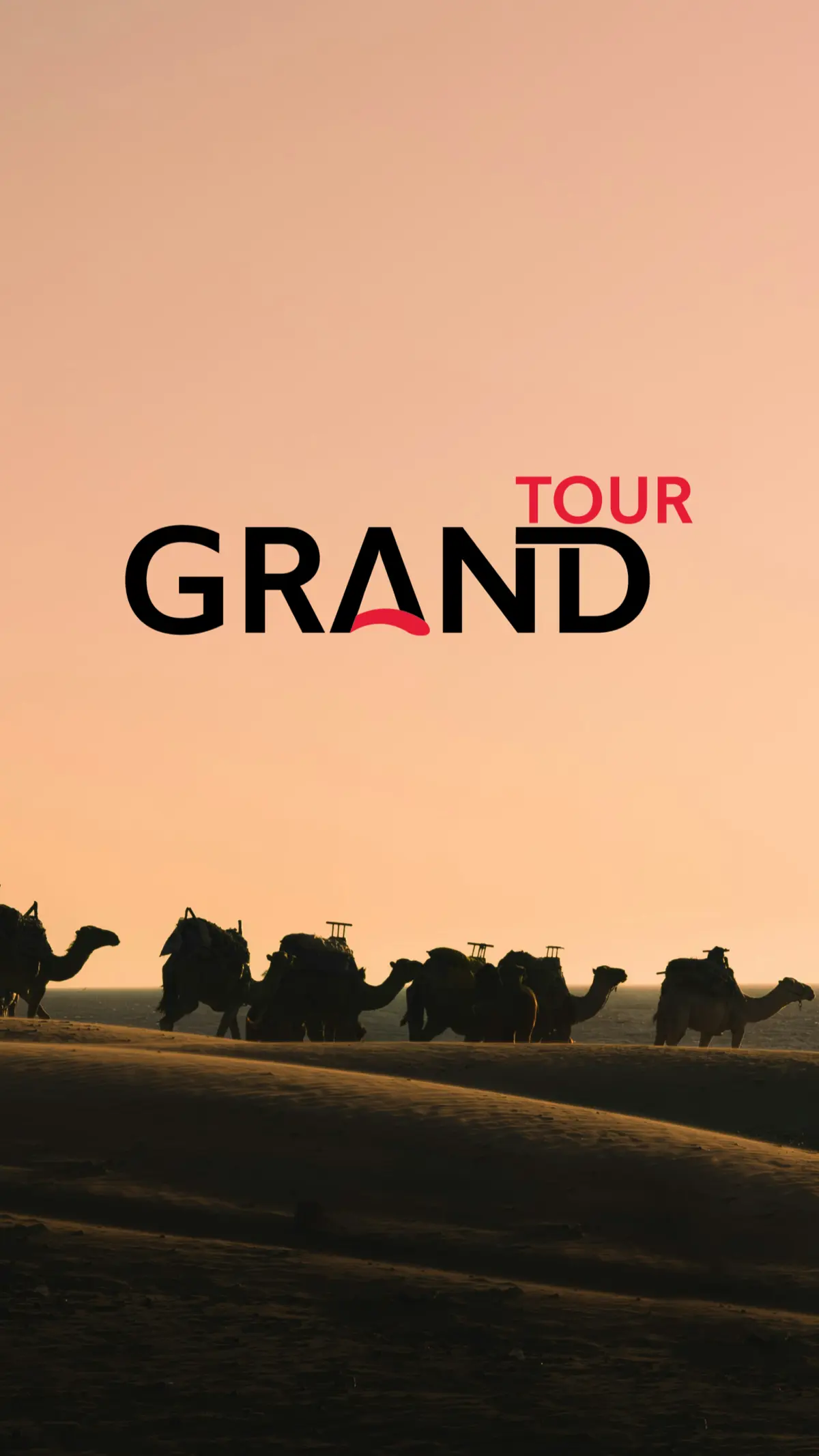 Фирменный стиль туристического агентства✈️ | Сетка — социальная сеть от hh.ru