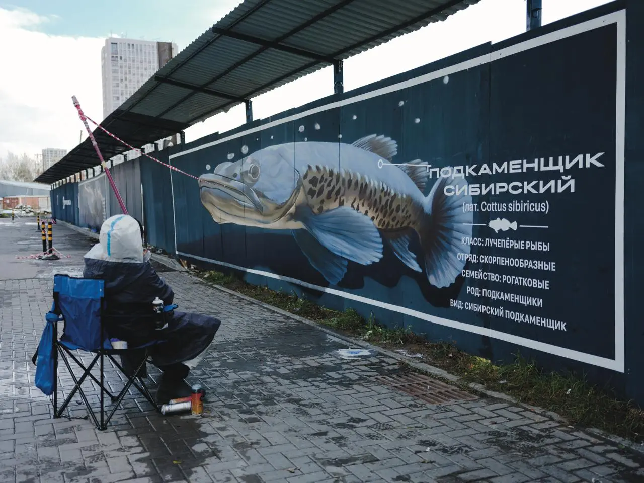 Редкие виды рыб на строительных ограждениях Брусники.
В районе «Европейский берег» застройщик Брусника оформил участок строительного ограждения изображениями краснокнижных животных | Сетка — социальная сеть от hh.ru