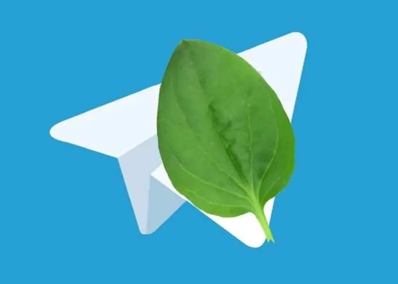 ⚡Пользователи на Юге России жалуются на сбои в Telegram и WhatsApp*
Сервисы работают с перебоями в Краснодарском крае, Ростовской области и на Ставрополье. По данным платформы «Сбой | Сетка — социальная сеть от hh.ru