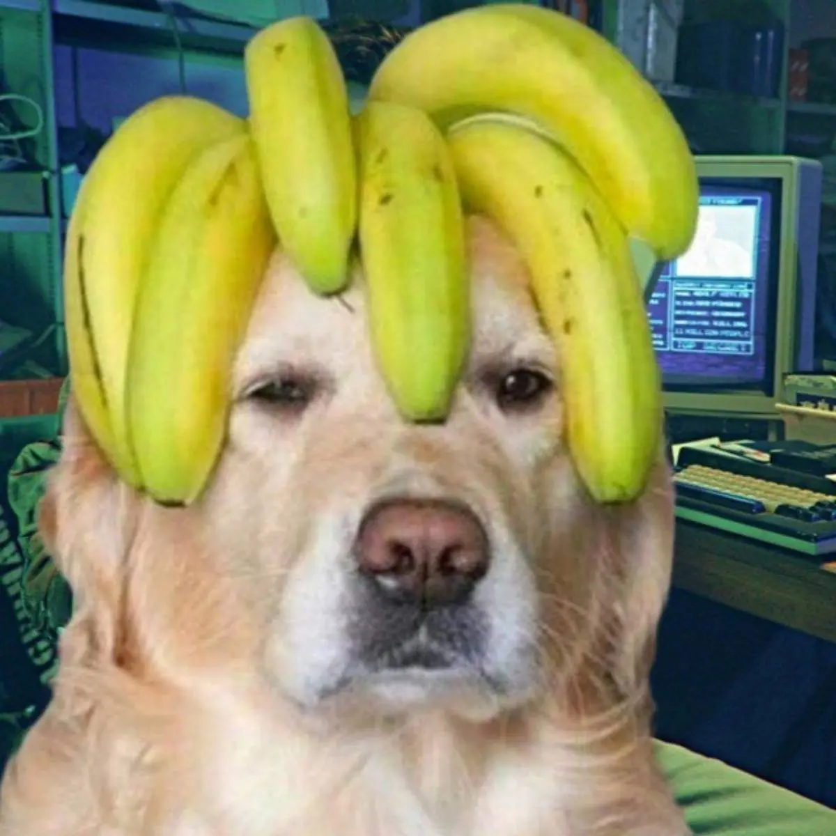 Сергей Васильев | Сетка — социальная сеть от hh.ru