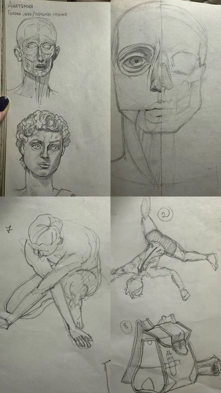 🩰 Старые анатомические наброски
Недавно нашла свои старые зарисовки анатомии. Листы, исписанные движением — мышцы, суставы, изгибы тела, позы в разных ритмах и состояниях | Сетка — социальная сеть от hh.ru