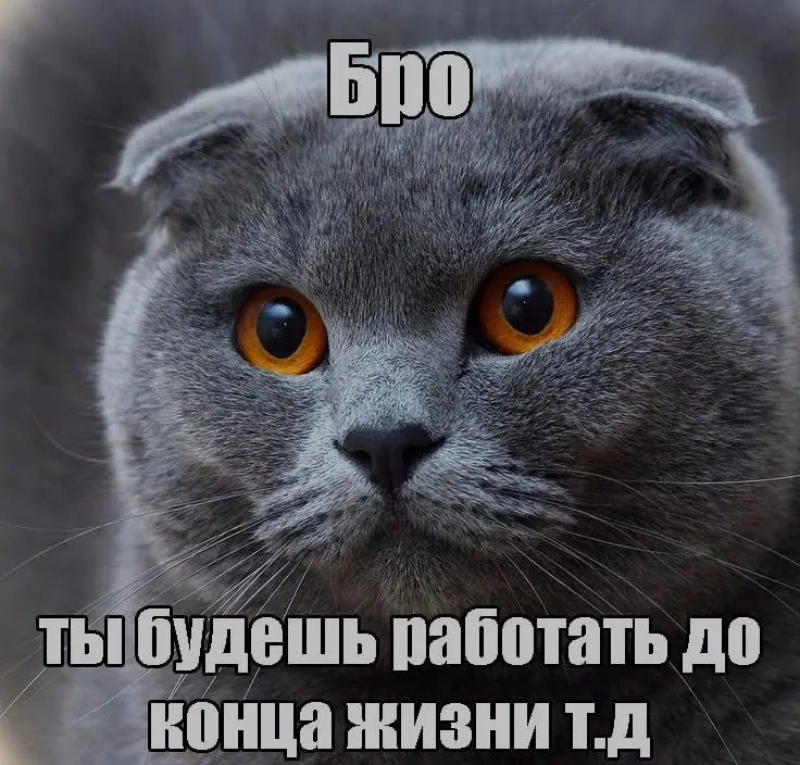 Зумерских мемов в ленту | Сетка — социальная сеть от hh.ru