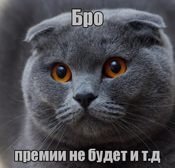 Зумерских мемов в ленту | Сетка — социальная сеть от hh.ru