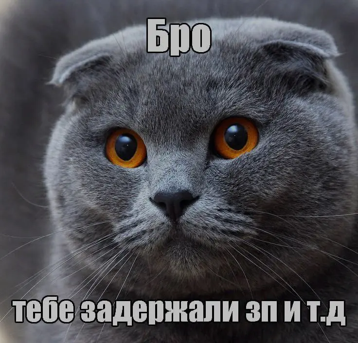 Зумерских мемов в ленту | Сетка — социальная сеть от hh.ru