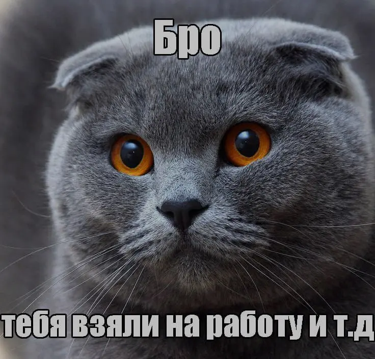 Зумерских мемов в ленту | Сетка — социальная сеть от hh.ru