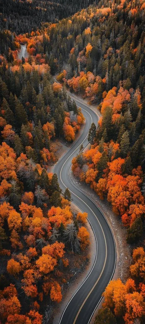 Доброе утро, волшебного вам дня!
Мир он прекрасен и мы воистину видим то, что хотим видеть. Спасибо что нам досталась такая возможность ❤️ | Сетка — социальная сеть от hh.ru