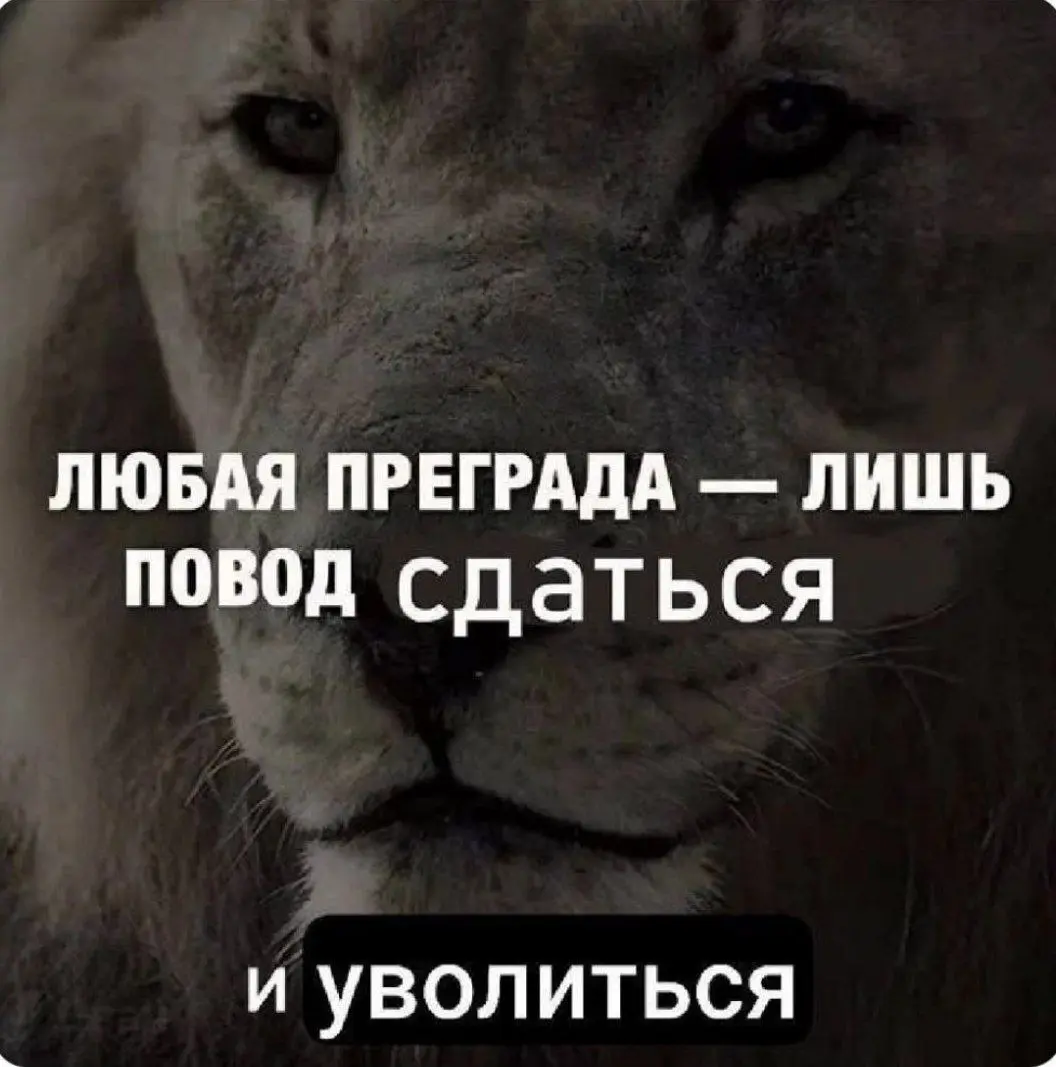 А мы продолжаем эту неделю 💼 | Сетка — социальная сеть от hh.ru
