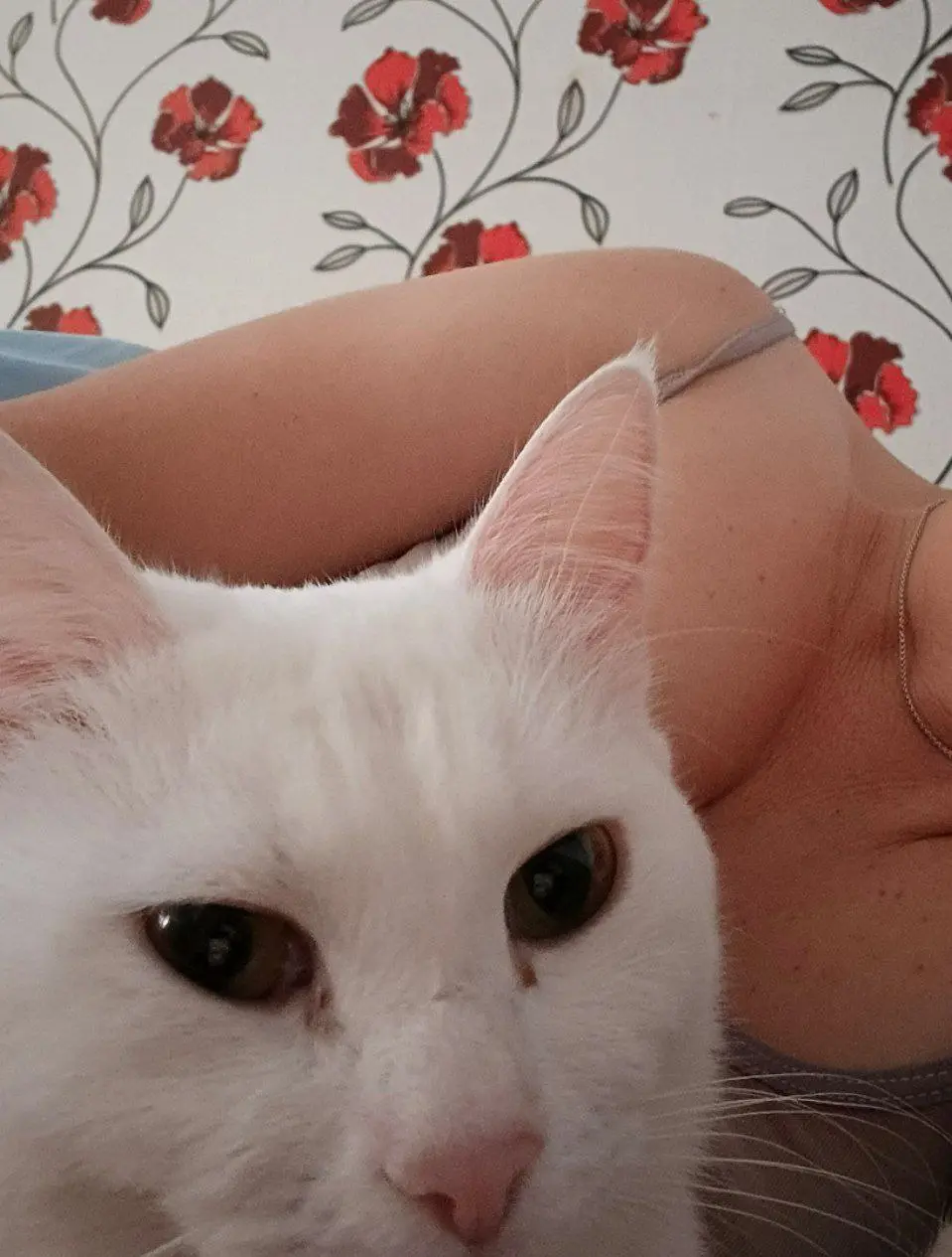 🤧 Болеешь каждую осень?
Витамины глотаешь — а толку ноль?
Ты не один. Но важно понять:
витамины — не волшебная таблетка | Сетка — социальная сеть от hh.ru