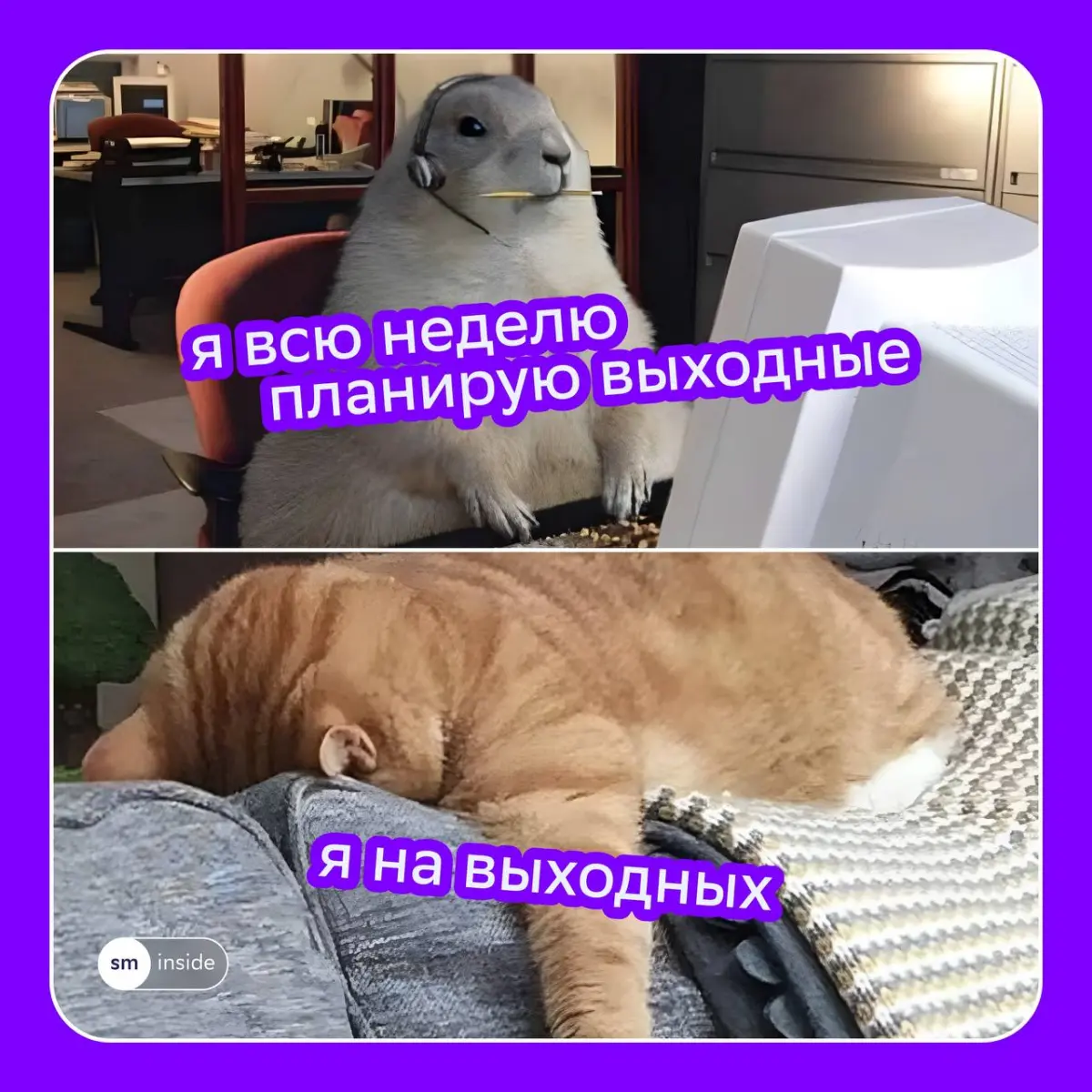 Один лайк и мы снова будем следовать плану на картинке ✔️ | Сетка — социальная сеть от hh.ru