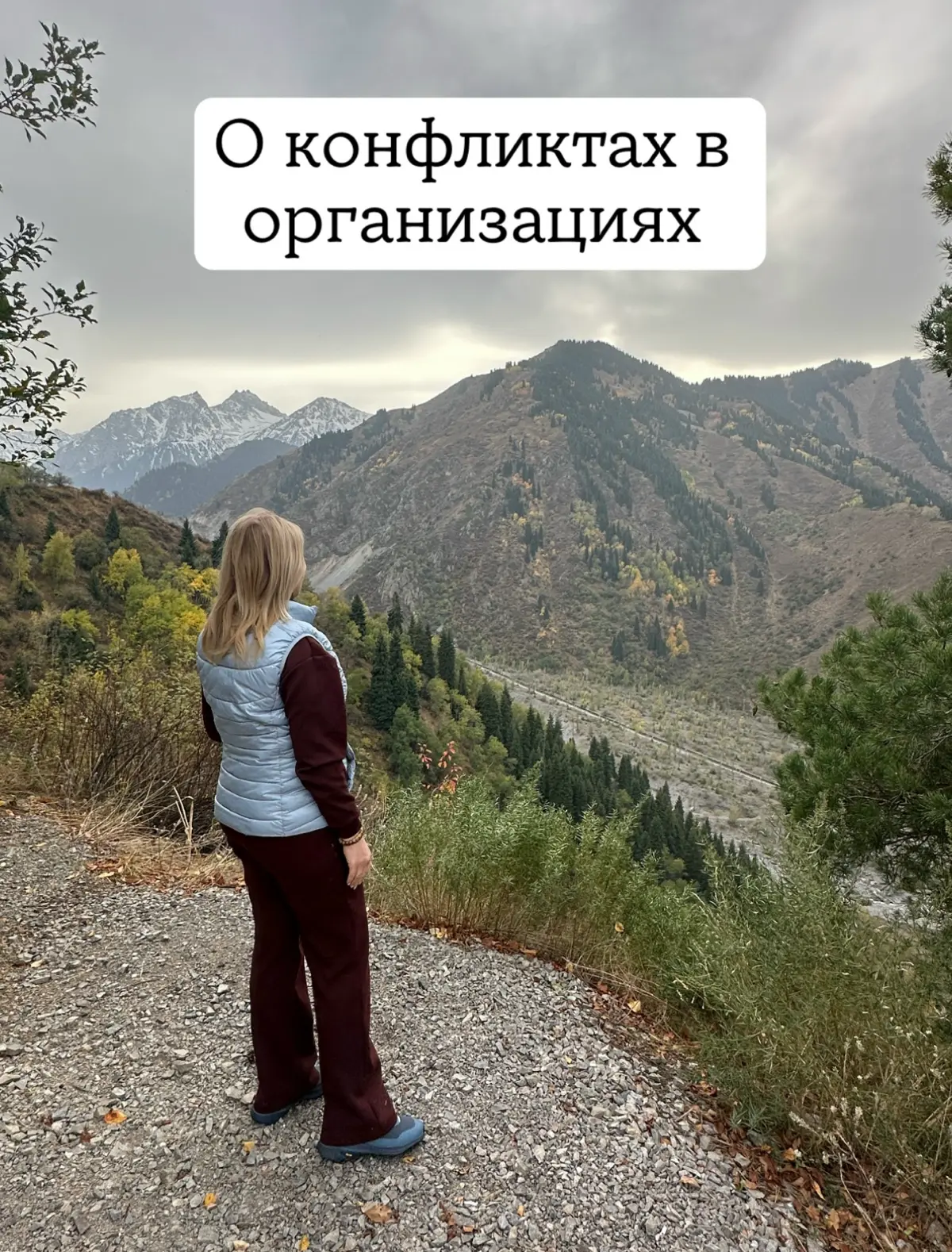 В тему конфликтов в организациях. Вот что говорит Ян Якоб Стам об этом исходя из своего многолетнего опыта работы в качестве системного консультанта | Сетка — социальная сеть от hh.ru