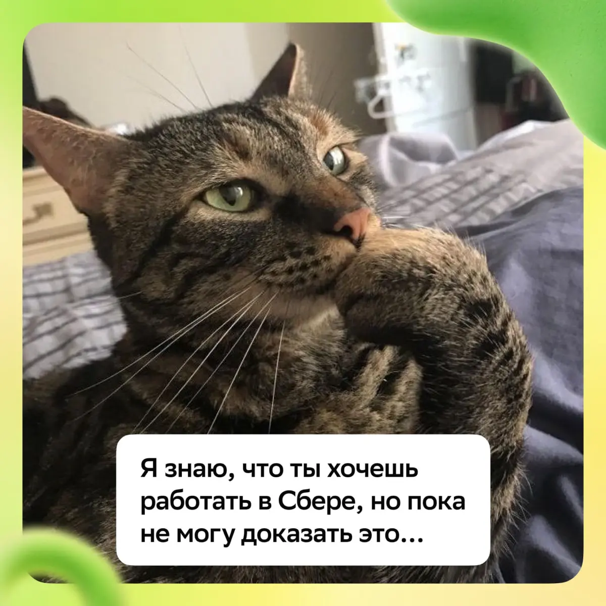 Готов превращать идеи в продукты и расти вместе с командой экспертов? Откликайся и начинай карьерный путь в Сбере:
• Менеджер С&B: https://s.sber | Сетка — социальная сеть от hh.ru