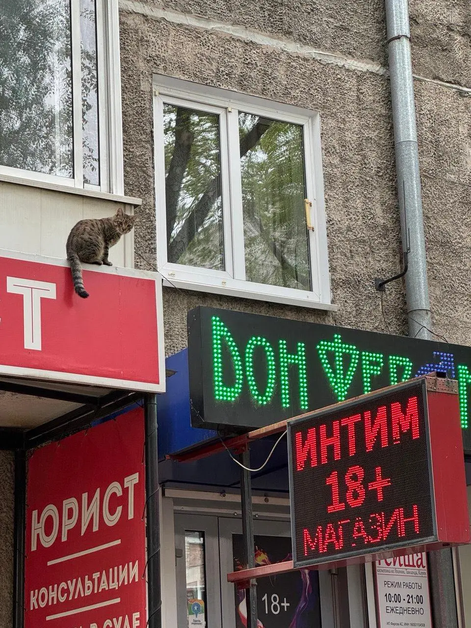 От Москва-реки до Енисея
Я, кстати, вернулся после большого трипа по Азии, поэтому думаю самое время рассказать вам, как я слетал в ✨Абакан✨
S7 анонсировали распродажу билетиков и я столкнулся с тяжес... | Сетка — социальная сеть от hh.ru