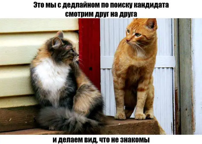 Кому тайм-менеджмент — страх, кому — шутка какая-то
Но проигрывают и те, и те 😄 Особенно, если горят вакансии)))
Если вы сорсер, ресечер, рекрутер и ваш день похож на марафон из тысячи вкладок в брауз... | Сетка — социальная сеть от hh.ru