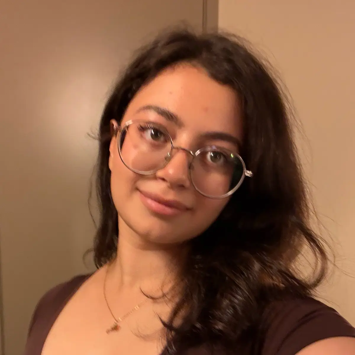 Софья Айдинян | Сетка — социальная сеть от hh.ru