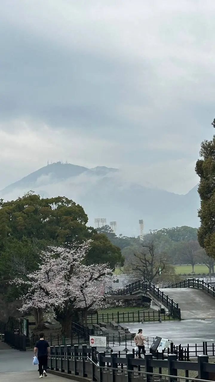 Шанхайский рецепт успеха
Как мне кажется, Шанхай — это финансовая столица Азии, где мощь глобальных компаний отражается в небоскребах и передовых технологиях | Сетка — социальная сеть от hh.ru