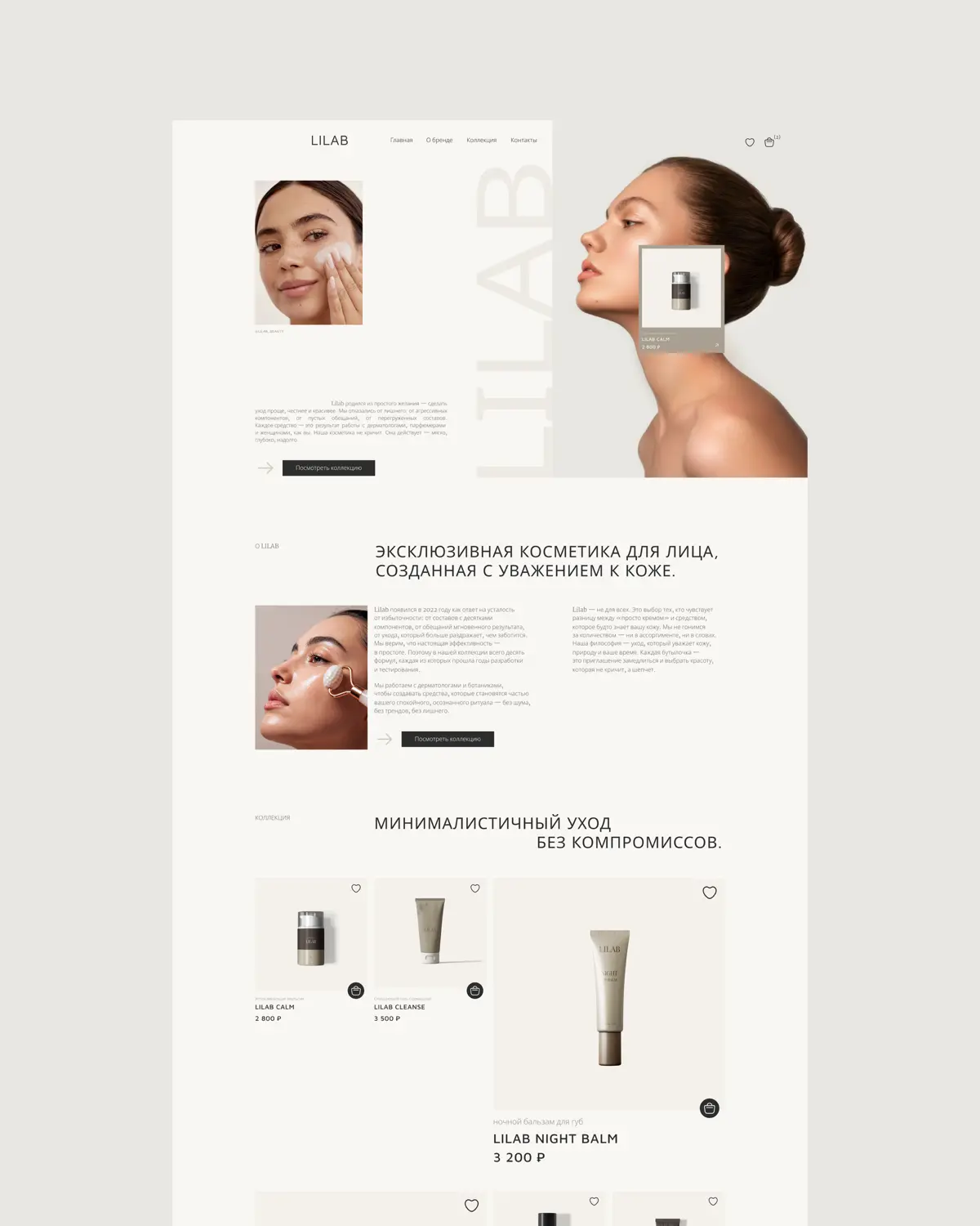 Концепт сайта для бренда Lilab | Сетка — социальная сеть от hh.ru