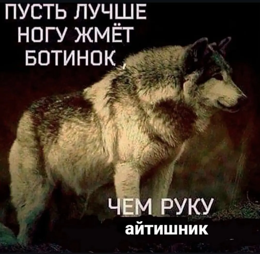 Шутка минутка или рассадник пацанских цитат | Сетка — социальная сеть от hh.ru