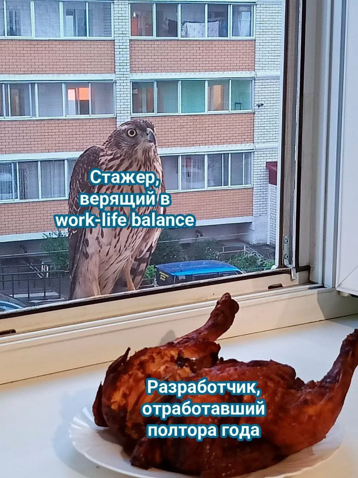 Как у вас с work-life balance?) | Сетка — социальная сеть от hh.ru