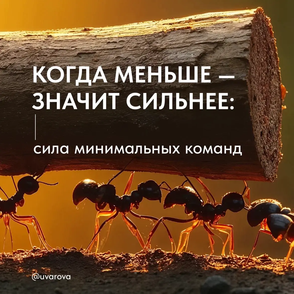 Сила минимальных команд | Сетка — социальная сеть от hh.ru