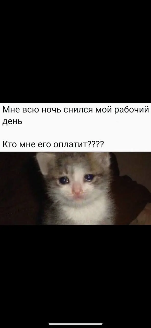 Воображаемый начальник воображаемыми деньгами 😂😂😂
#Юмор@poldner #Коты@poldner | Сетка — социальная сеть от hh.ru