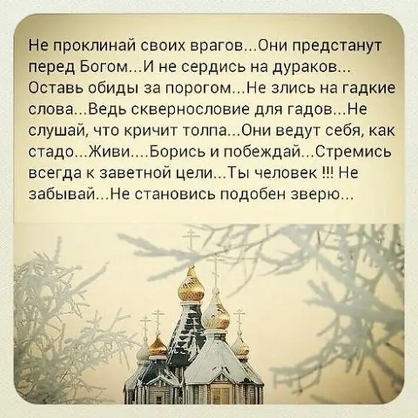 @statusday #ЦитатыСтатус | Сетка — социальная сеть от hh.ru