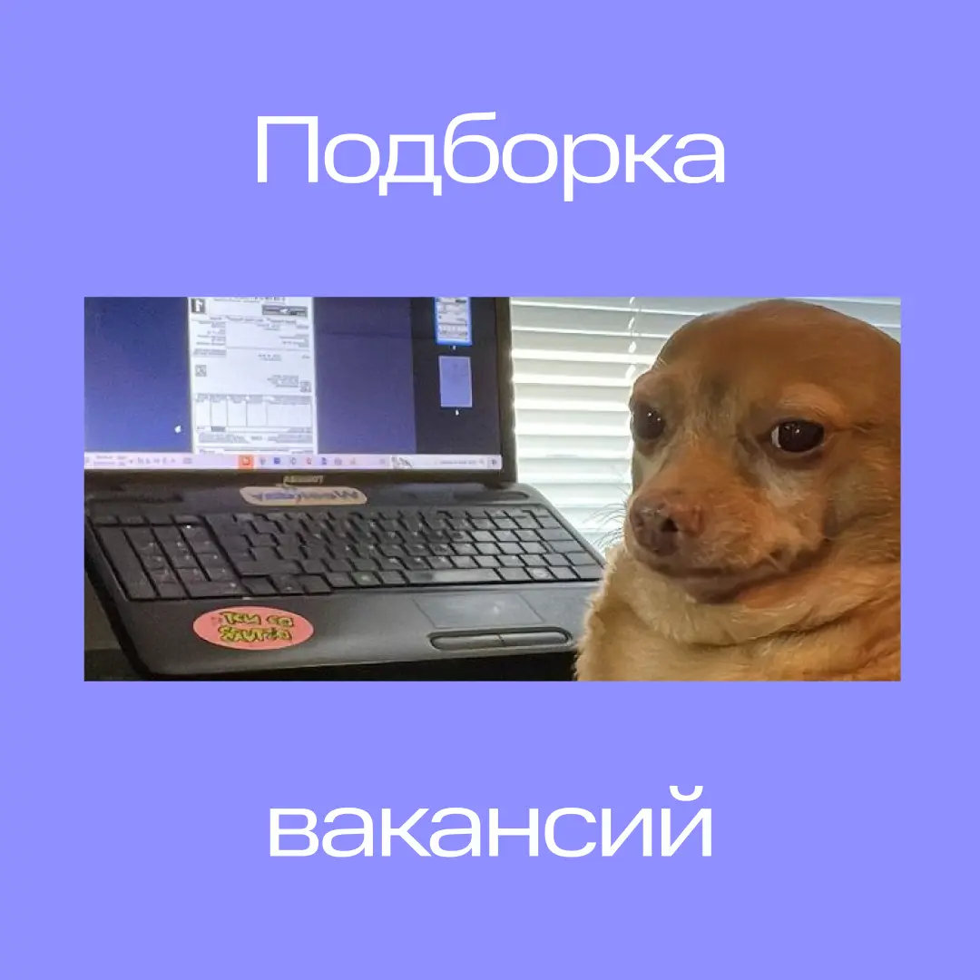 Дайджест вакансий в команду МТС Финтех ❤️ | Сетка — социальная сеть от hh.ru