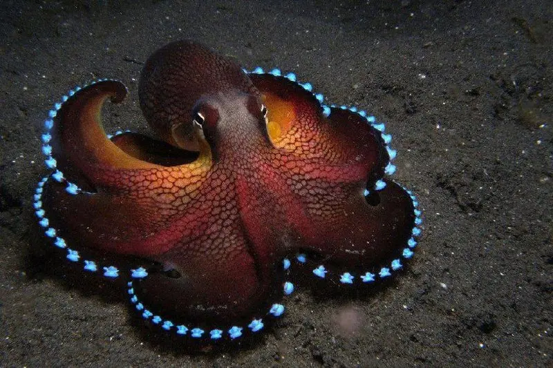 🐙 Почему команда не решает задачи без тебя?
Отлучился на полчаса — всё встало. Задачу, которую могли решить за пять минут, команда обсуждает в чате три дня. Ждёт твоего кивка. Твоего «ок» | Сетка — социальная сеть от hh.ru