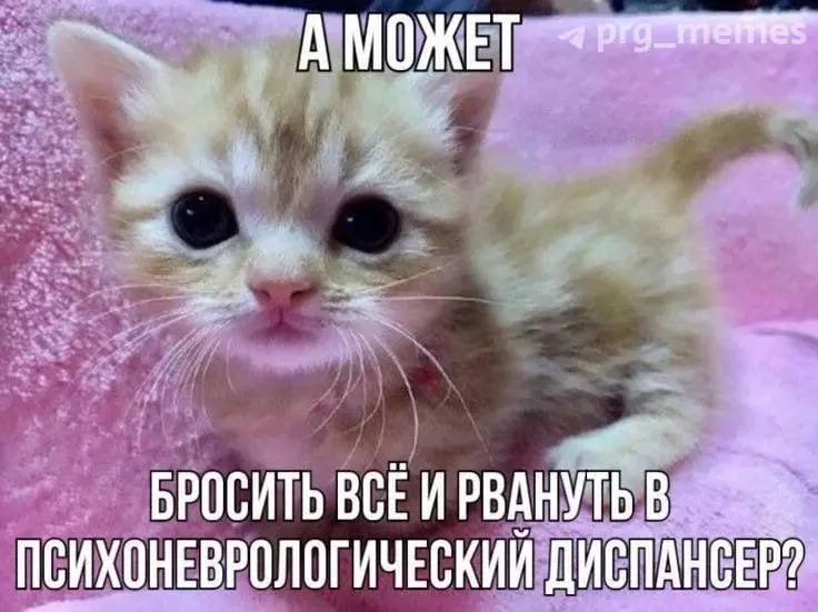 #IT
😂 ПМ 🛍 Другие каналы
В этом посте были ссылки, но мы их удалили по правилам Сетки | Сетка — социальная сеть от hh.ru