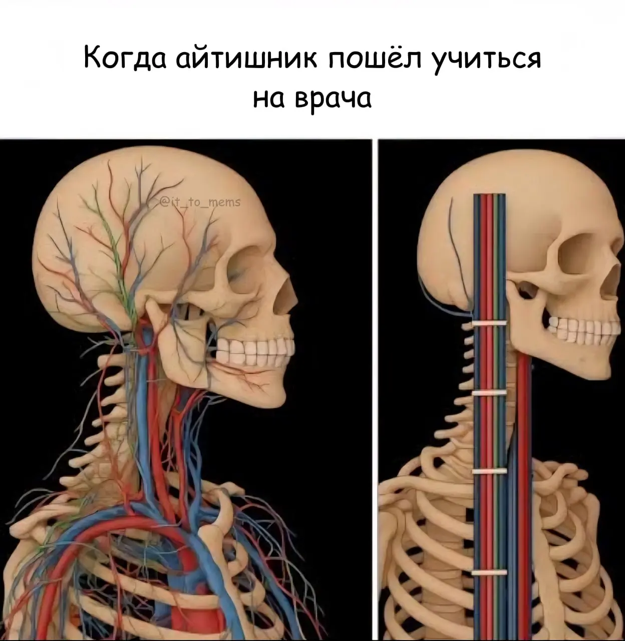 Cable Management. 😁 | Сетка — социальная сеть от hh.ru