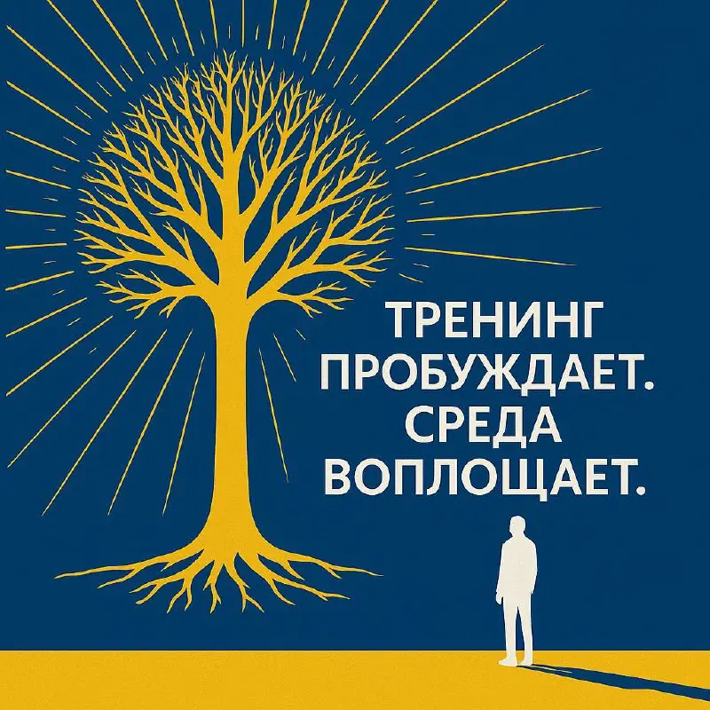 💬 Тренинг даёт пробуждение. Среда — даёт воплощение.
Когда-то я уехал в незнакомый город.
Без денег, без связей, без поддержки.
И вернулся — не с миллионами,
а победителем самого себя | Сетка — социальная сеть от hh.ru