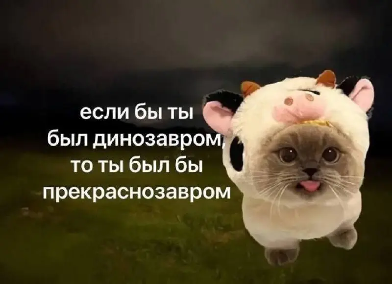 Забавно, как дважды за месяц (1, 2) можно упасть в одну и ту же яму самобичевания с одинаковым посылом - "я недостаточно хорош" | Сетка — социальная сеть от hh.ru
