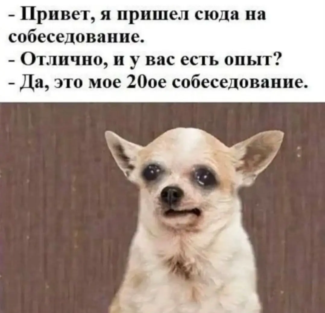 #юмор | Сетка — социальная сеть от hh.ru