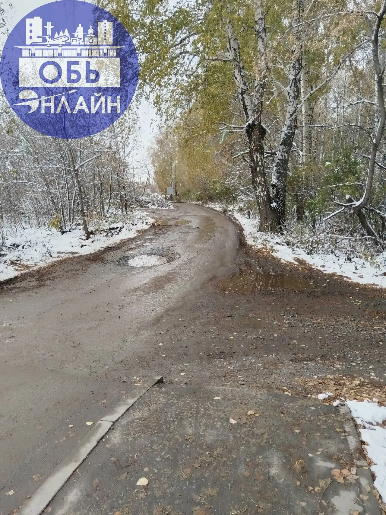 ↗ ❗Сигнал Синяеву
Добрый день, а можно попросить пройти Сергея Викторовича от станции Аэрофлот до улицы Степная вдоль леса? Сколько лет просим сделать для людей тротуар, в ДШИ, в ДК, на электричку, пр... | Сетка — социальная сеть от hh.ru