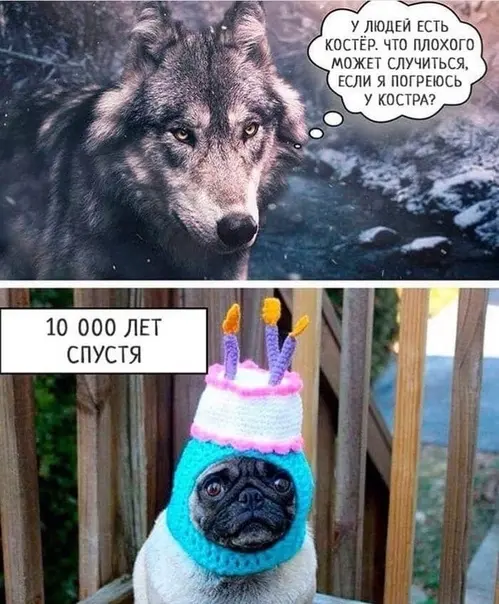 🪰🐘🪰🐘 Вагинь! 🪰🐘🪰🐘
Вышел 7-й подкаст. Тема важнецкая для понимания генетики.
1. Евгеника простыми словами
2. Британские элиты—пример евгеники
3. Самостоятельное совершенствование генетики
4 | Сетка — социальная сеть от hh.ru