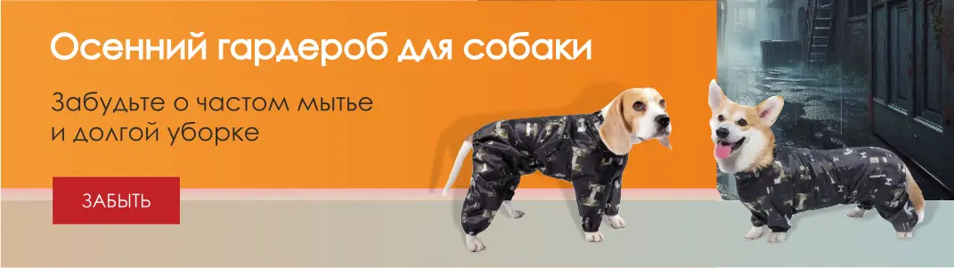 Пытаюсь устроиться на работу, сделав баннеры как тестовое | Сетка — социальная сеть от hh.ru