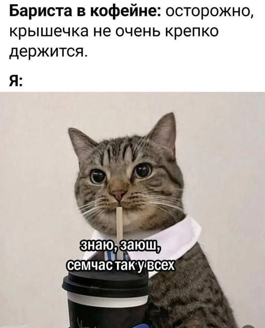 А как твоя крышечка, заюш? | Сетка — социальная сеть от hh.ru