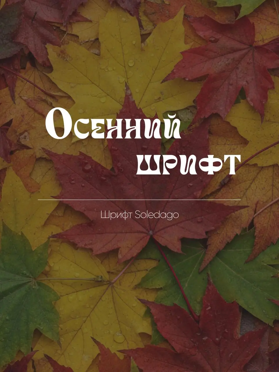 ПОДБОРКА ОСЕННИХ (ИЛИ НЕ ОЧЕНЬ 😅) ШРИФТОВ
❇️ Кажется, пора признаться, что я не очень люблю подбирать шрифты для проекта.. | Сетка — социальная сеть от hh.ru