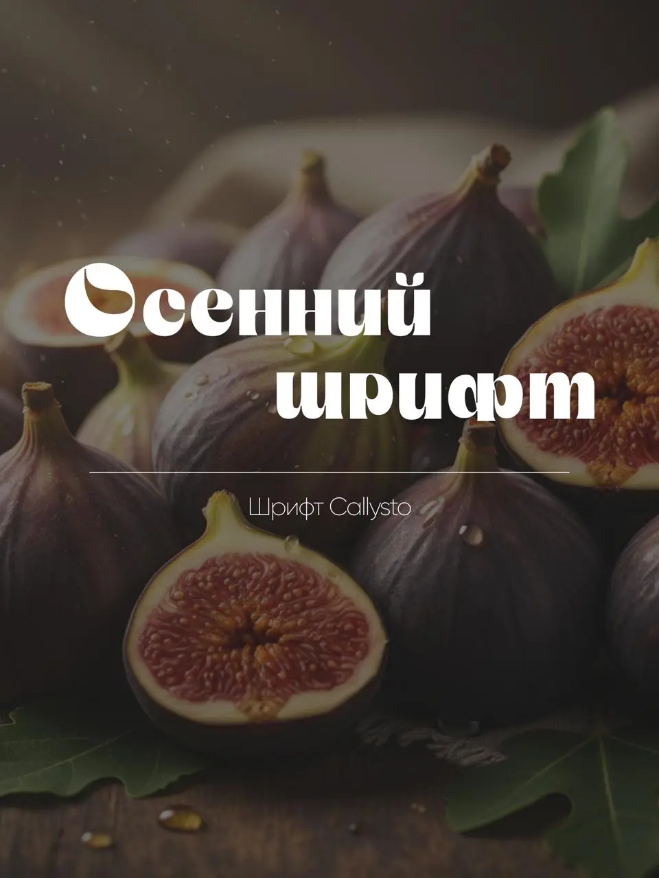 ПОДБОРКА ОСЕННИХ (ИЛИ НЕ ОЧЕНЬ 😅) ШРИФТОВ
❇️ Кажется, пора признаться, что я не очень люблю подбирать шрифты для проекта.. | Сетка — социальная сеть от hh.ru