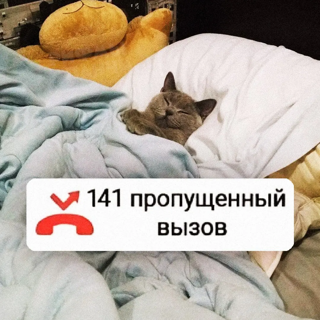 📞 Не отвечаем на рабочие звонки ПОСЛЕ РАБОТЫ — это ОФИЦИАЛЬНО разрешили не делать в Госдуме
Работники при нормированном графике вправе уйти со связи в нерабочее время, даже если находятся на удаленке
... | Сетка — социальная сеть от hh.ru