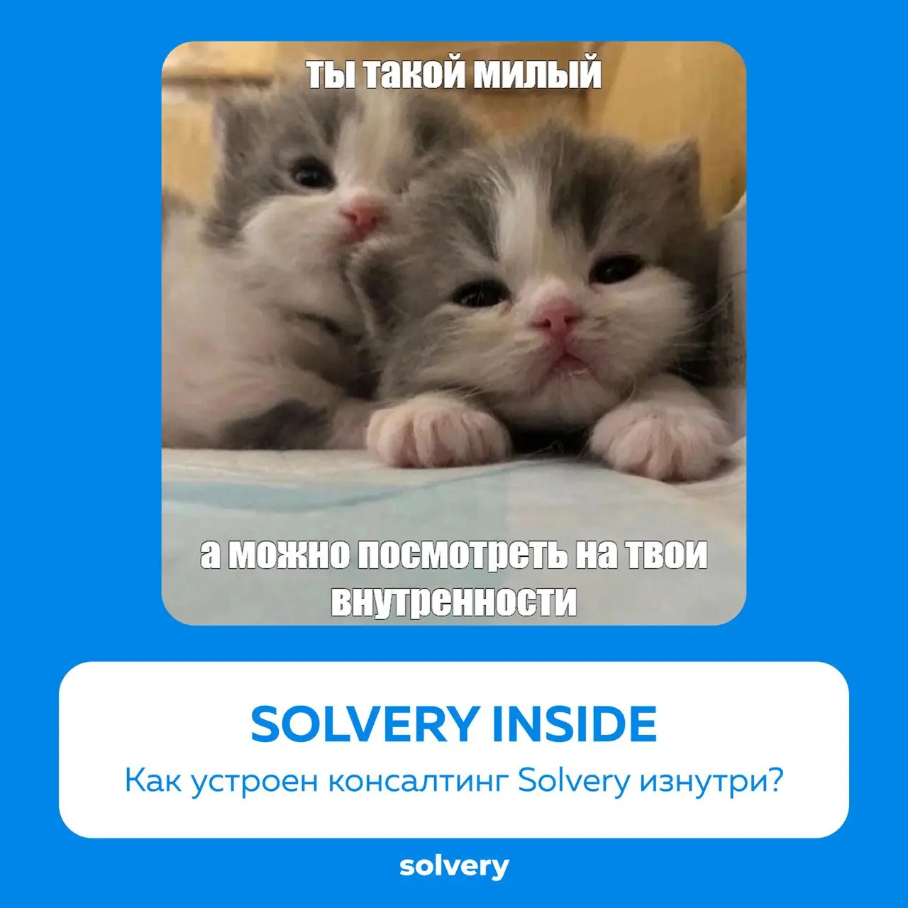 Solvery Inside: как мы запускаем корпоративный менторинг
Нас часто спрашивают: "а как вообще устроен консалтинг Solvery изнутри?"
Сегодня — рассказываем про наш путь от первой встречи до проектировани... | Сетка — социальная сеть от hh.ru