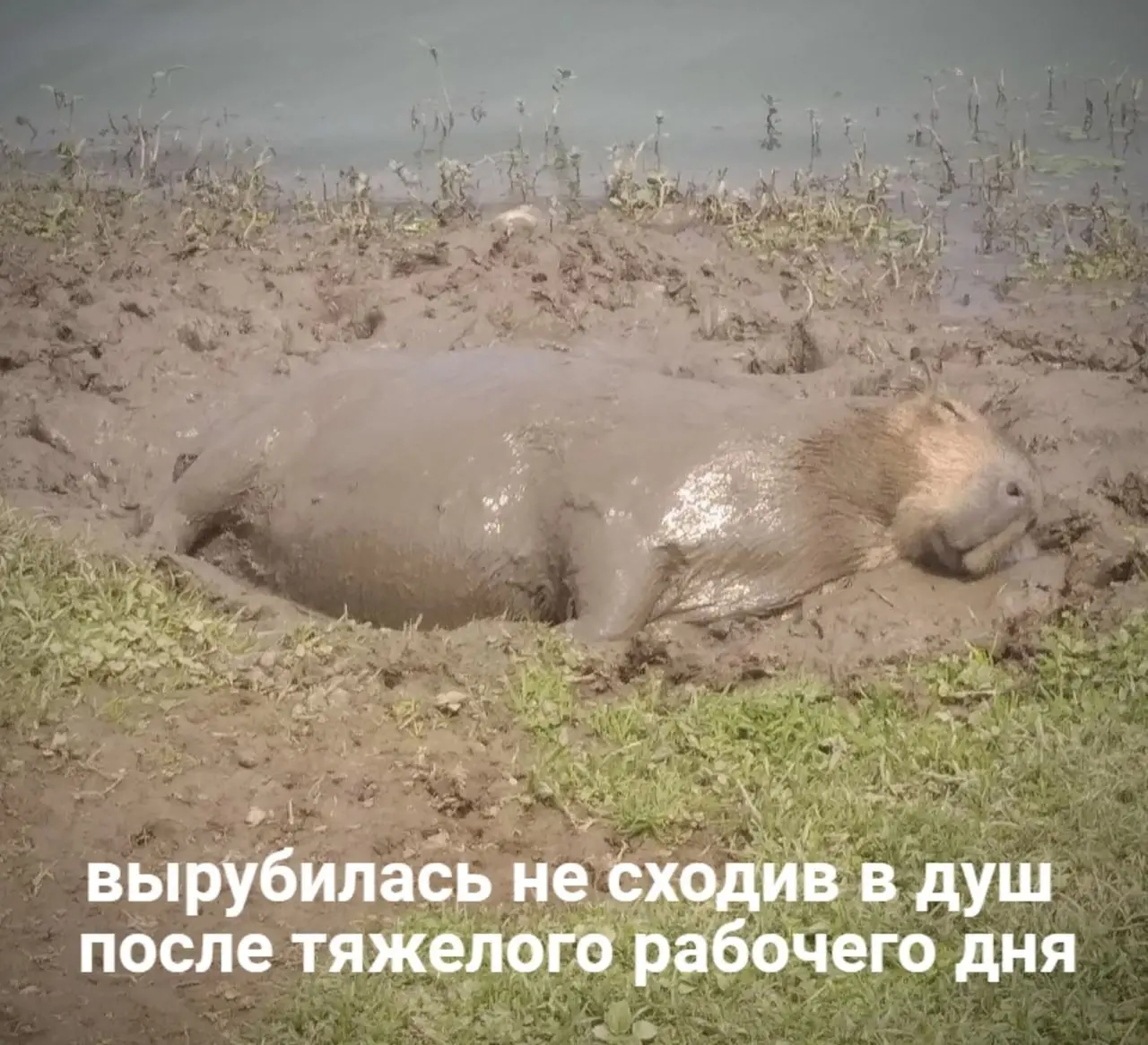 я в четверг: ух в пятницу зажгу
я в пятницу: | Сетка — социальная сеть от hh.ru