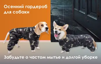 Альтернативный баннер поменьше | Сетка — социальная сеть от hh.ru