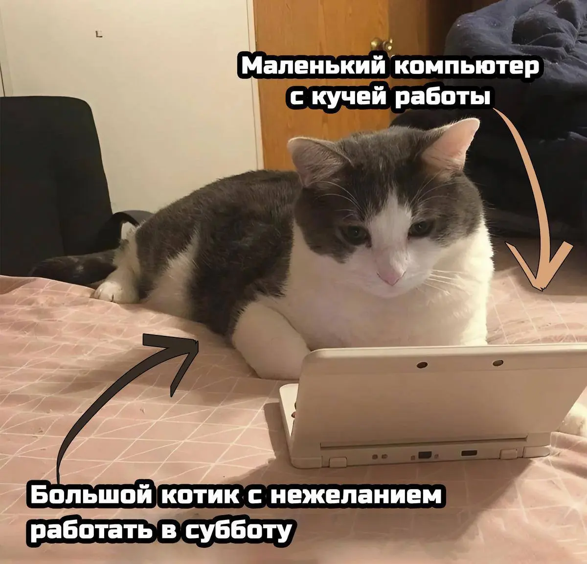 Следующая рабочая неделя будет шестидневной
С 27 октября по 1 ноября ставропольцев ждет шестидневная рабочая неделя. Суббота 1 ноября будет сокращена на один час | Сетка — социальная сеть от hh.ru