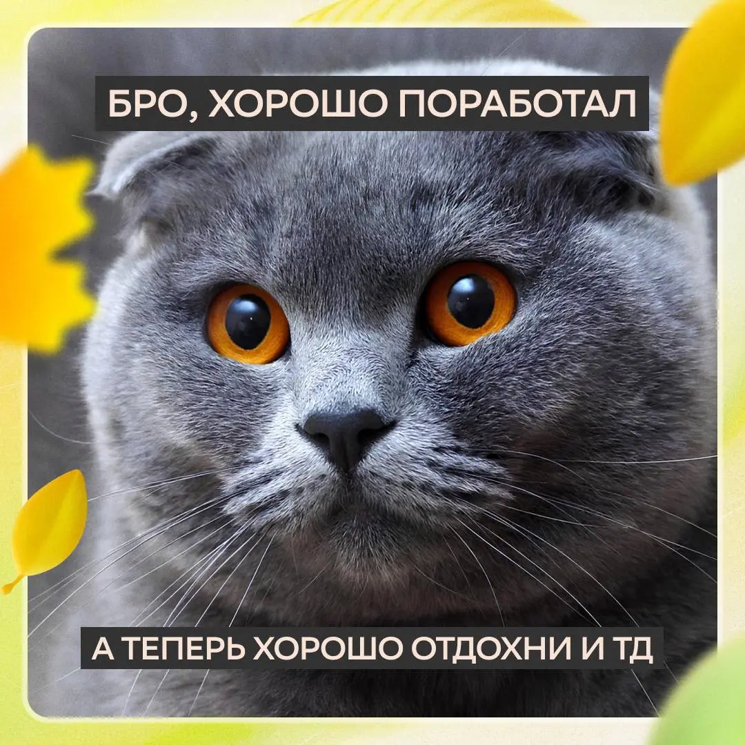 Коллеги, принесли новую задачку на выходные!
Ставь лайк, если забираешь в работу и обещаешь выполнить качественно ;) | Сетка — социальная сеть от hh.ru