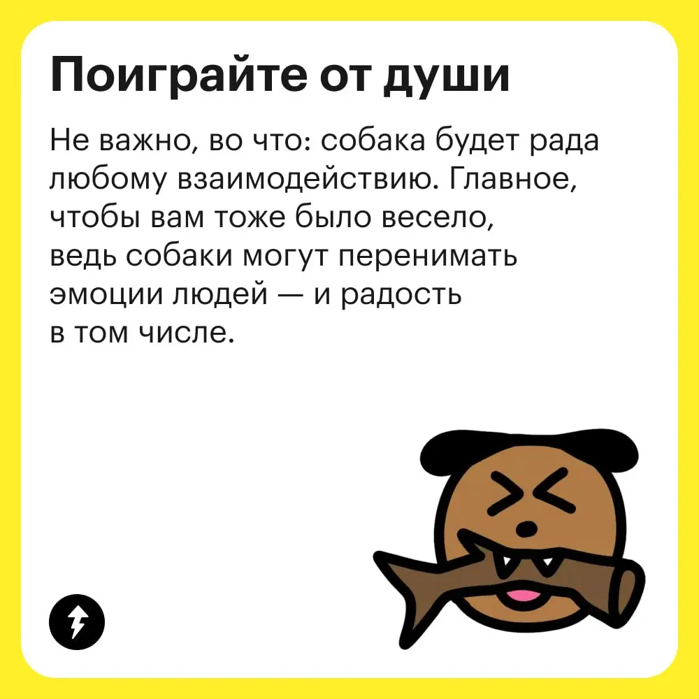 🐶 Разрешить собаке быть собакой — лучшее, что может сделать хозяин для своего любимца | Сетка — социальная сеть от hh.ru